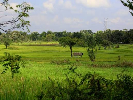 Village Tour