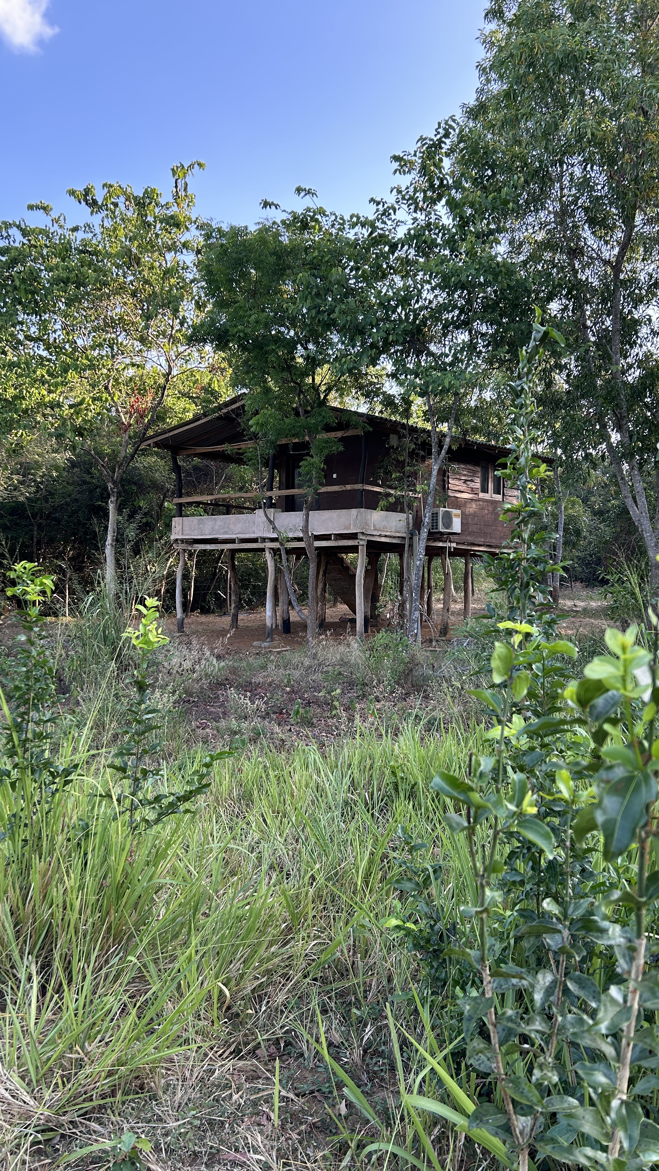 Cabin view
