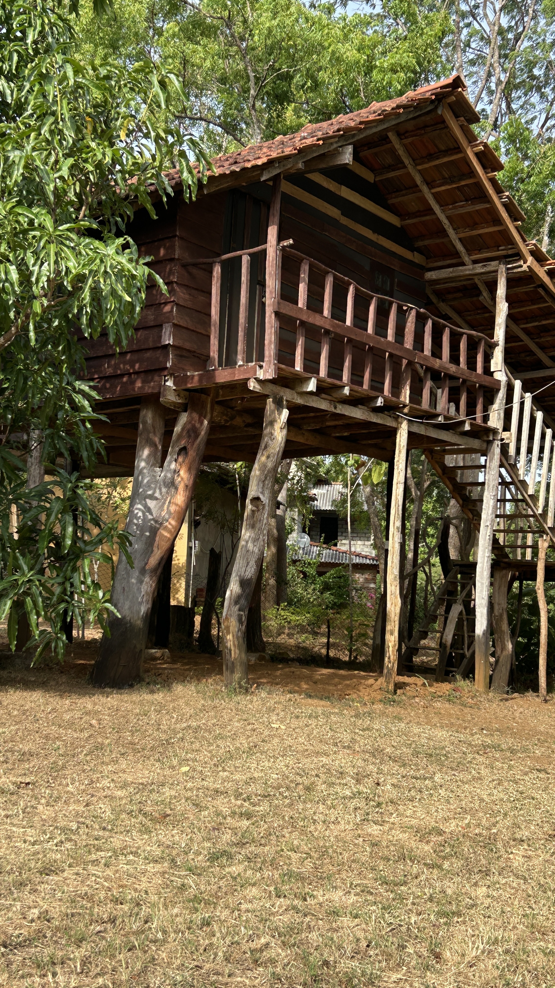 Wood Cabin 5