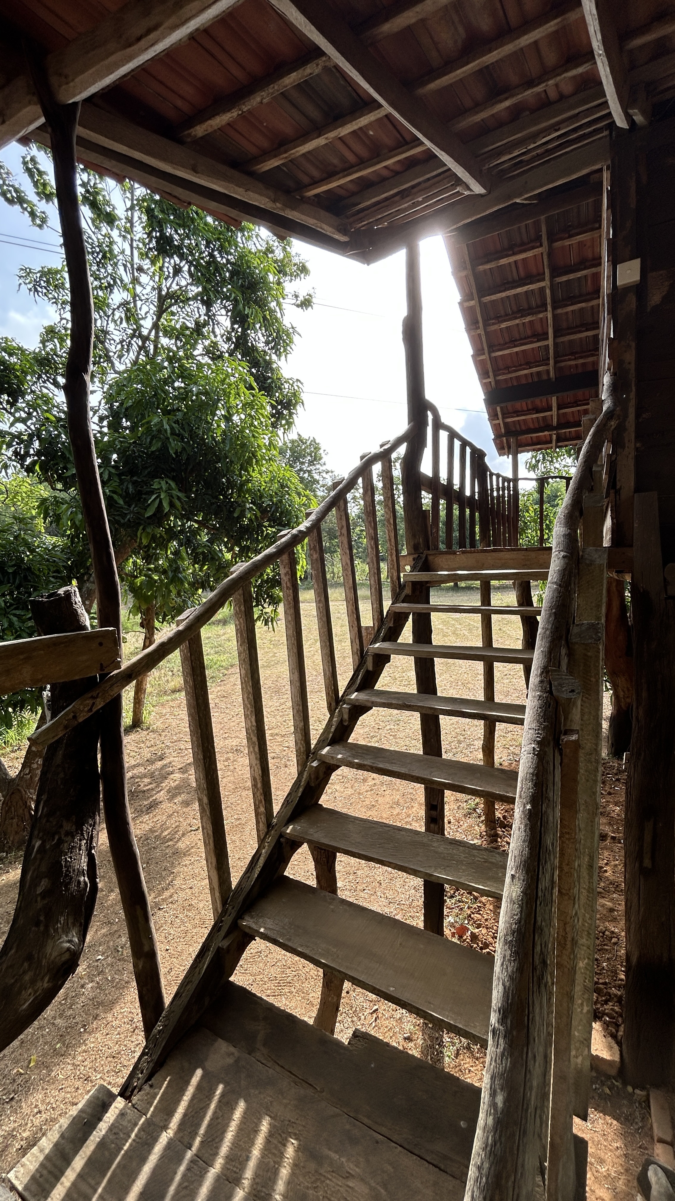 Wood Cabin 5 - 4